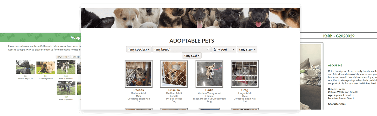 Pet Loyalty  Modern shelter software for saving (more) animals